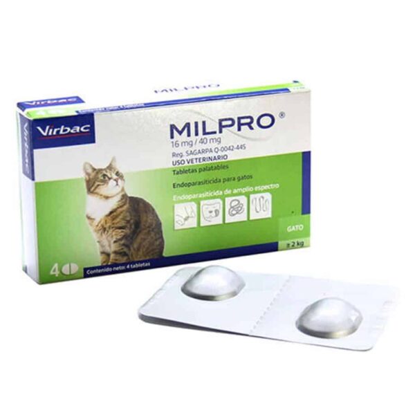 milpro gato adulto